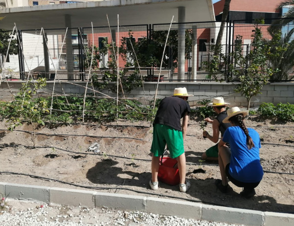 Tres jóvenes de Lucentum realizan la siembra en el huerto ecológico