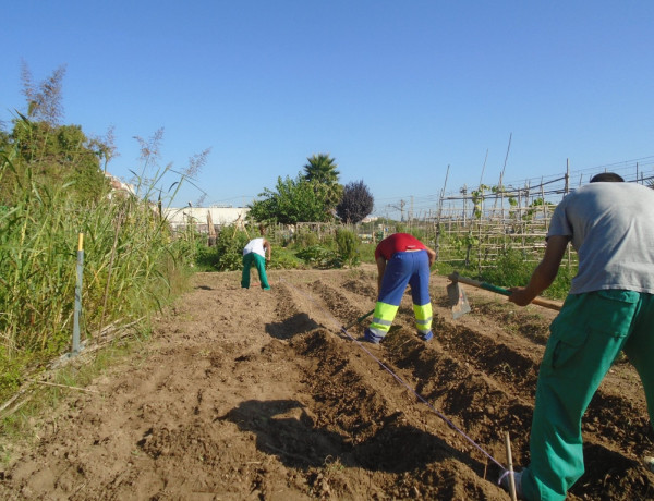 Los jóvenes atendidos en la residencia ‘Pi i Margall’ de Burjassot (Valencia) colaboran en la creación de un huerto social 