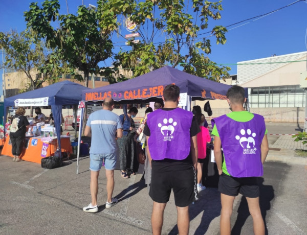 La II Feria de la Adopción Animal de Vila-real cuenta con la participación de jóvenes voluntarias y voluntarios atendidos en la Residencia ‘Pi Gros’ de Castellón