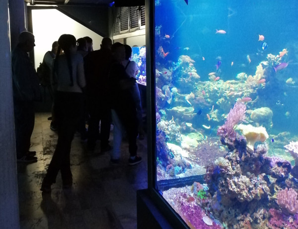 Personas atendidas en el centro de día ‘Heliotropos’ realizan una visita guiada al Acuario de la Universidad de Murcia