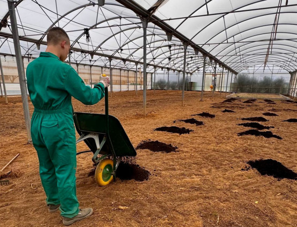 Certificado de Profesionalidad en Operaciones básicas en instalación de jardines, parques y zonas verdes 