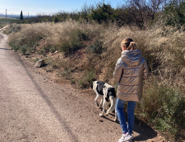 La joven del centro saca a pasear a uno de los perros acogidos en la protectora