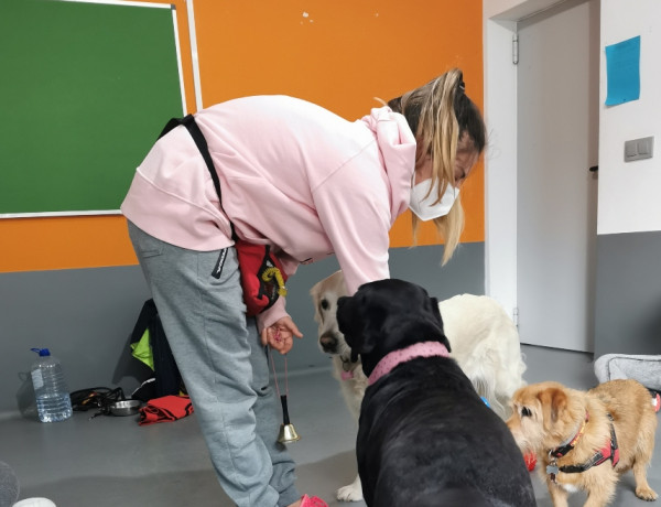 La iniciativa ‘Animalando Socioeducativo – Educando emociones’ cuenta con la participación de menores de los centros ‘Montefiz’ y ‘Monteledo’ de Ourense