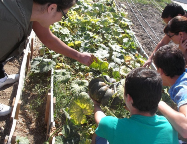 Menores del centro ‘Las Lagunillas’ de Jaén finalizan sendos cursos de empleabilidad y agricultura ecológica subvencionados por la Obra Social La Caixa