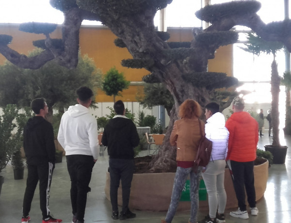 Los jóvenes atendidos en el centro ‘Els Reiets’ de Alicante visitan el 17º Salón de la Planta Ornamental y Afines Viveralia 2020. Fundación Diagrama. Comunidad Valenciana 2020. 