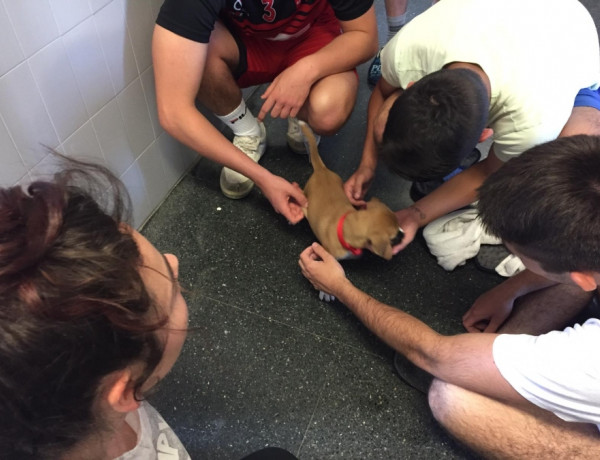 Los jóvenes atendidos en el centro ‘Monteledo’ de Ourense participan en una actividad terapéutica con animales. Fundación Diagrama. Galicia 2020. 