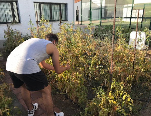 Jóvenes atendidos en el centro ‘Odiel’ (Huelva) colaboran en diversas labores de mantenimiento del recurso. Fundación Diagrama. Andalucía 2020.