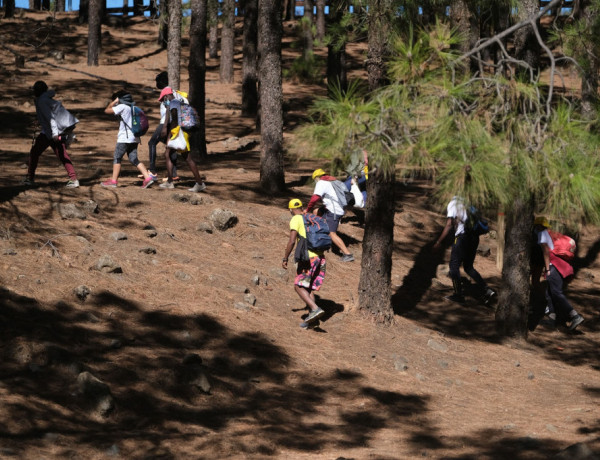 Jóvenes atendidos por Fundación Diagrama en Las Palmas de Gran Canaria completan la primera etapa del Camino de los Valores-Caminando contra la COVID. 2020. 