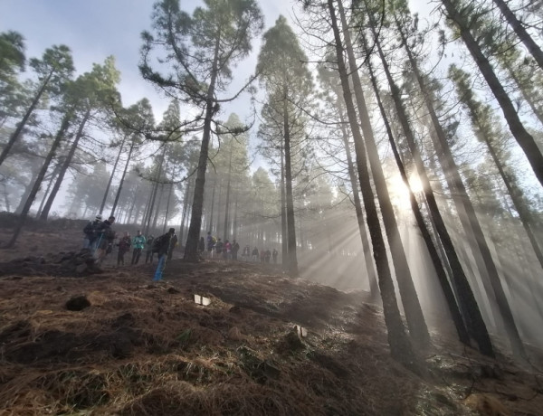 Jóvenes atendidos por Fundación Diagrama en Las Palmas recorren la penúltima etapa del Camino de los Valores-Caminando contra la COVID