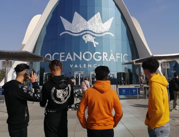 Los jóvenes atendidos en el hogar ‘La Magrana’ de Alicante llevan a cabo una visita al Oceanográfico de Valencia. Fundación Diagrama. Comunidad Valenciana 2020. 