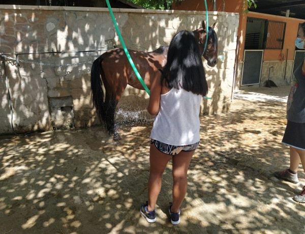 Los jóvenes atendidos en el Hogar ‘Oriola’ de Orihuela (Alicante) llevan a cabo una jornada de voluntariado con caballos. Fundación Diagrama. Comunidad Valenciana 2020.