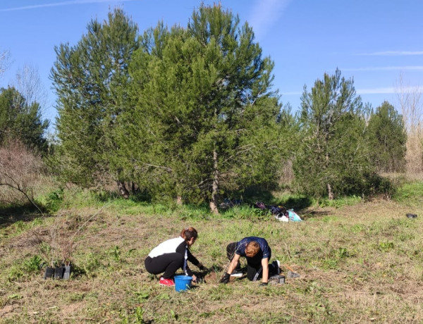 Los jóvenes atendidos en ‘Pi i Margall’ de Burjassot (Valencia) colaboran en una actividad medioambiental de plantación de pinos y recogida de residuos. Fundación Diagrama. Comunidad Valenciana 2020.