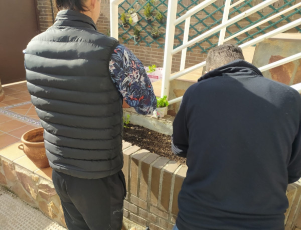 Los jóvenes atendidos en el piso ‘Diagrama Henares’ de Madrid realizan un taller de jardinería