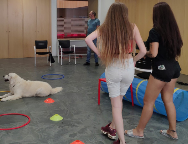 Los jóvenes atendidos en el Programa de Medio Abierto de Valencia participan en una actividad de ocio asistido con perros. Fundación Diagrama. Comunidad Valenciana 2019.