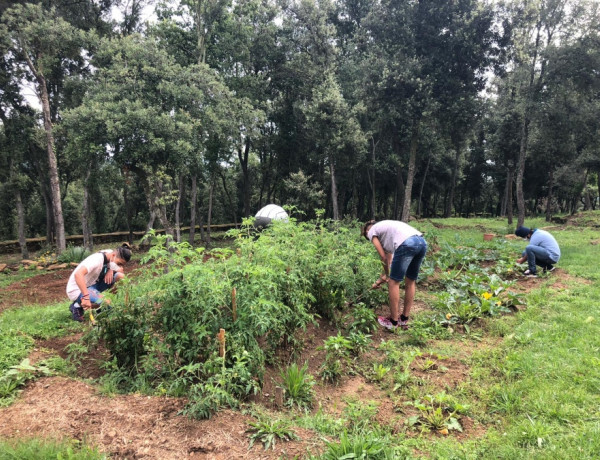 Los jóvenes atendidos en el Servicio ‘Estany’ de Sant Gregori (Girona) realizan una donación solidaria de alimentos cultivados por ellos mismos. Fundación Diagrama. Cataluña 2020. 