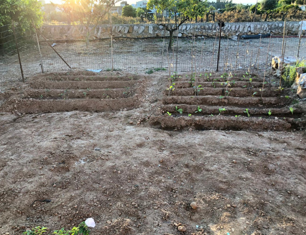 Los jóvenes atendidos en el Servicio de Primera Acogida ‘Ebre III’ en Freginals (Tarragona) instalan un huerto ecológico en el centro. Fundación Diagrama. Cataluña 2020.