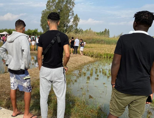 Los jóvenes atendidos en el Servicio de Primera Acogida 'Montsià' de Amposta (Tarragona) asisten a la fiesta de la sega del arroz en el Parque Natural del Delta del Ebro