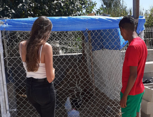 Los jóvenes atendidos en los Servicios de Primera Acogida 'Encanyissada I' y 'Encanyissada III' colaboran en la creación de un corral de gallinas. Fundación Diagrama. Cataluña 2020. 