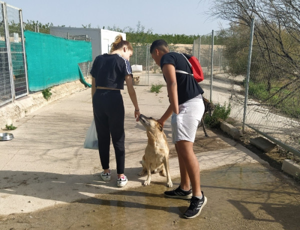 Jóvenes del hogar ‘Oriola’ de Orihuela realizan una actividad de voluntariado en el Centro de Protección Animal de Las Torres de Cotillas (Murcia). Fundación Diagrama 2022