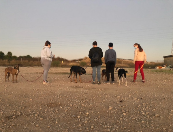 Los jóvenes de la Residencia ‘Torrent III’ (Valencia) llevan a cabo una actividad de voluntariado en el refugio de animales ‘Petjades Trobades’
