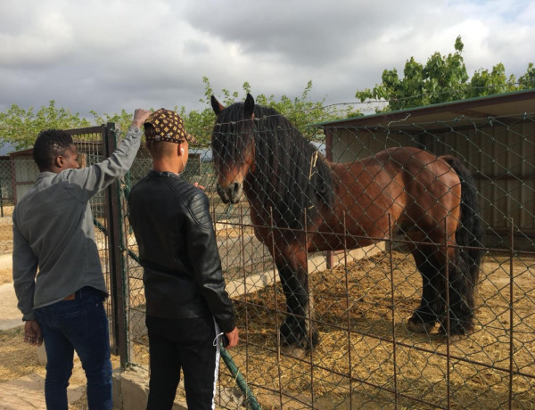 Los jóvenes atendidos en la Unidad de Fomento de la Autonomía ‘Migjorn’ participan en una excursión a la granja escuela de Peñíscola. Fundación Diagrama. Cataluña 2019.