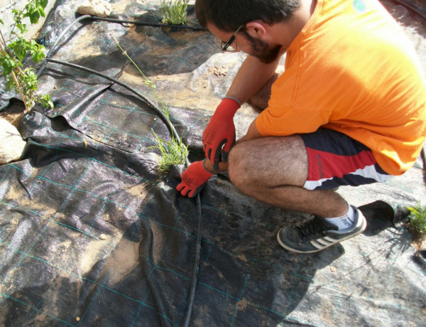 Módulo para adquirir el Certificado Profesional de Nivel II de Mantenimiento y Mejora de Jardines y Zonas Verdes 2017. Fundación Diagrama. Centro 'Las Moreras'. 