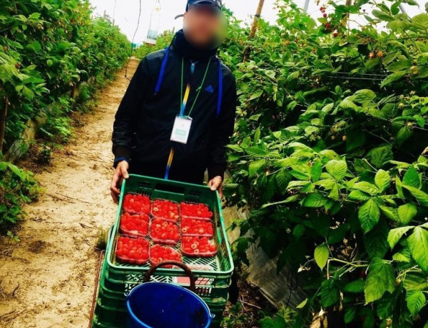 Más de 20 jóvenes atendidos en el Programa Labora de Andalucía son contratados por distintas empresas de la provincia. Fundación Diagrama 2020.