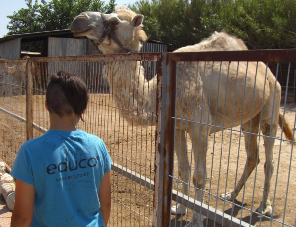 Los jóvenes del centro ‘Anassim’ de Llanera de Ranes (Valencia) conocen la labor que se lleva a cabo en una granja. Fundación Diagrama. Comunidad Valenciana 2018.