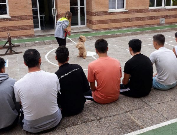 Los menores atendidos en el centro de acogida ‘Baix Maestrat’ de Vinarós (Castellón) visitan a las instalaciones de la Escuela Canina Baracán. Fundación Diagrama. Comunidad Valenciana 2019. 