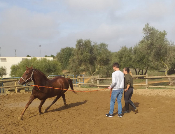 Los menores atendidos en el centro ‘El Limonar’ de Alcalá de Guadaíra (Sevilla) realizan un programa de intervención asistida con caballos. Fundación Diagrama. Andalucía 2019. 