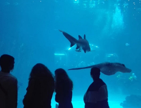 Los menores atendidos en el centro ‘Inagua’ de Las Palmas de Gran Canaria visitan el centro deportivo Urban Planet y el acuario Poema del Mar. Fundación Diagrama 2019. 