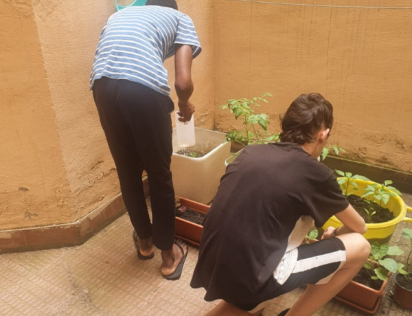 Los menores atendidos en la residencia ‘Iregua’ de Logroño llevan a cabo un taller de cocina saludable tras crear un huerto urbano. Fundación Diagrama. La Rioja 2020. 