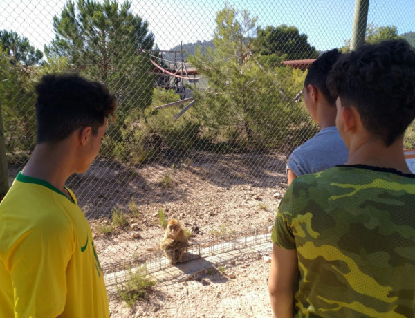 Los menores atendidos en el centro ‘La Atalaya’ de Villena (Alicante) visitan el centro de rescate de mamíferos exóticos AAP Primadomus. Fundación Diagrama. Comunidad Valenciana 2019.