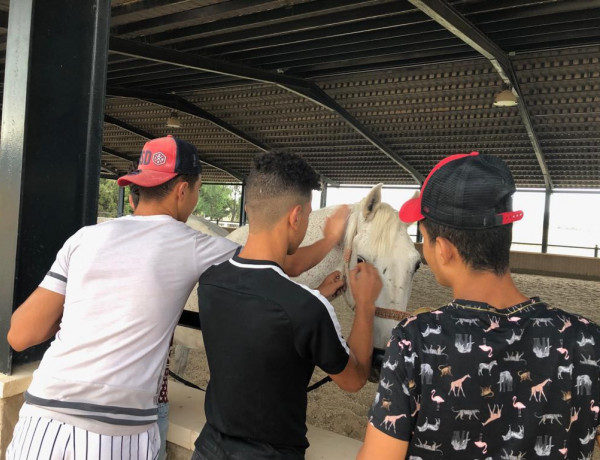 Los menores atendidos en el centro ‘La Atalaya’ de Villena (Alicante) descubren los beneficios de la equinoterapia. Fundación Diagrama. Comunidad Valenciana 2019.