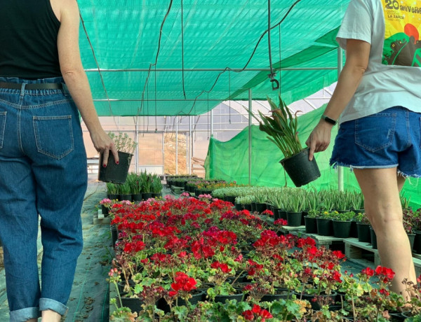 Los menores atendidos en el centro ‘La Zarza’ de Abanilla (Murcia) llevan a cabo un taller medioambiental de creación y cuidado de plantas ornamentales. Fundación Diagrama 2020.