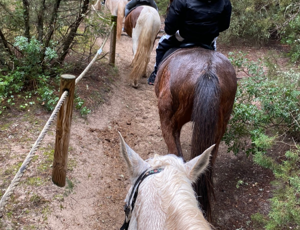 Los menores atendidos en el centro ‘Portocristo’ de Baleares recorren la localidad de Cala Millor en caballo