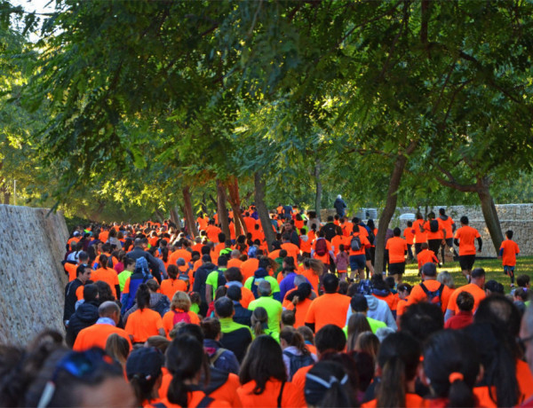 Los menores atendidos en el centro socioeducativo ‘Pi i Margall’ de Burjassot (Valencia) completan la 7ª Carrera de Bioparc Valencia. Fundación Diagrama. Comunidad Valenciana 2019. 