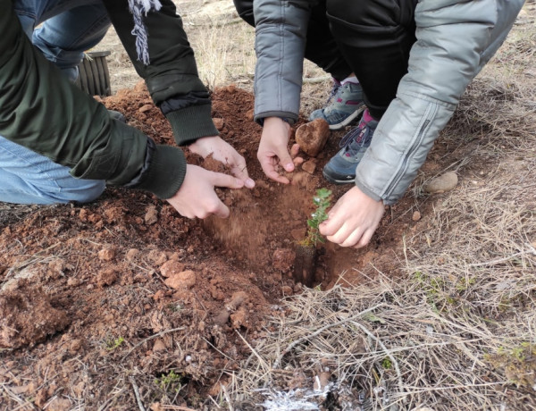 Los menores atendidos en el centro ‘Virgen de Valvanera’ de Logroño ayudan a plantar árboles en el Parque de La Grajera