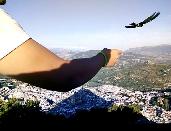 Menores atendidos en ‘Las Lagunillas’ de Jaén colaboran en varias actividades con el Centro de Recuperación de Especies Amenazadas. Fundación Diagrama. Andalucía 2020. 