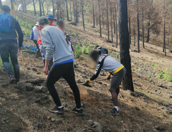 Los menores del centro de acogimiento ‘Cardones’ de Las Palmas de Gran Canaria colaboran en una actividad de reforestación en Valleseco. Fundación Diagrama 2020. 