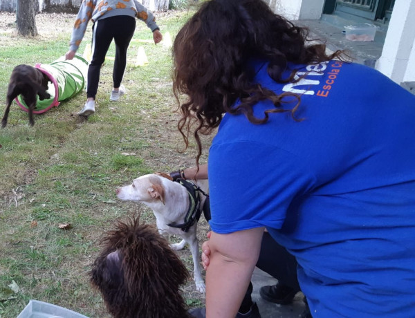 Los menores del centro ‘Montefiz’ de Ourense participan en una nueva edición del Programa de Terapia Asistida con Animales. Fundación Diagrama. Galicia 2019.