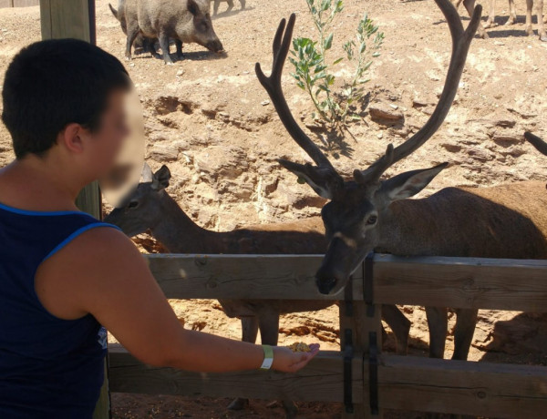 Los jóvenes del centro ‘Oriola’ de Orihuela (Alicante) realizan numerosas actividades en el parque Terra Natura de Murcia y en Riópar (Albacete). Fundación Diagrama. Comunidad Valenciana y Castilla-La Mancha 2018.