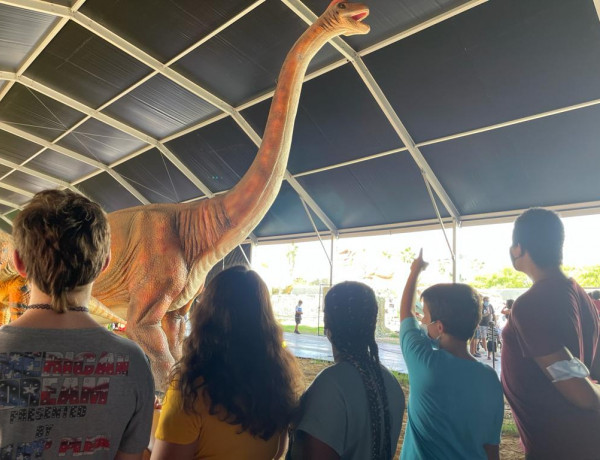 Las personas jóvenes atendidas en la Residencia de Acogida para Niños, Niñas y Adolescentes con Problemas de Conducta 'Mas de la Pinaeta', en Gátova (Valencia), de titularidad de la Conselleria de Igualdad y Políticas Inclusivas de la Generalitat Valenciana y gestionada por Fundación Diagrama a través de concierto social, acudieron el pasado 18 de septiembre a ‘Dinoexpo’, la muestra sobre dinosaurios más grande de Europa. A través del recorrido por la exposición, a la que fueron en compañía de profesionales