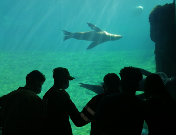 El Oceanogràfic de Valencia recibe la visita de los jóvenes atendidos en el hogar ‘Benalúa’ de Alicante