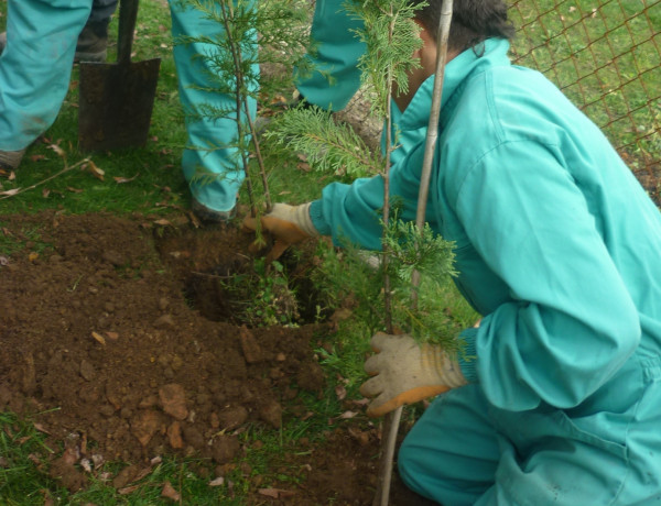Nueva promoción de Técnicos de Jardinería en el Centro Socioeducativo Juvenil del Gobierno de Cantabria