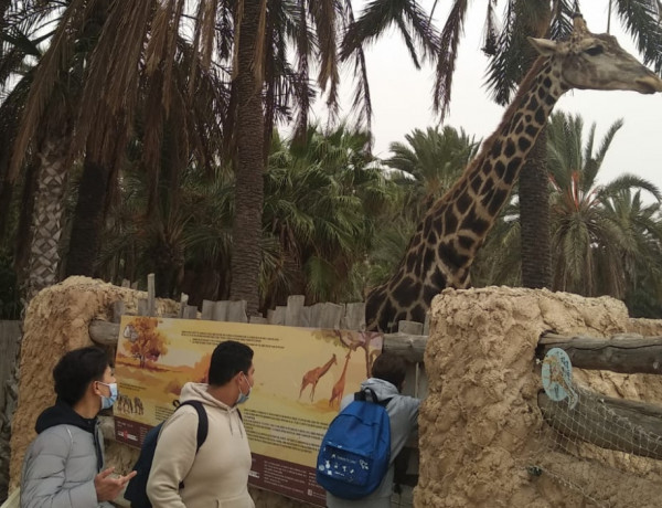 El parque zoológico Río Safari Elche recibe la visita de los jóvenes atendidos en el hogar ‘La Magrana’ de Alicante