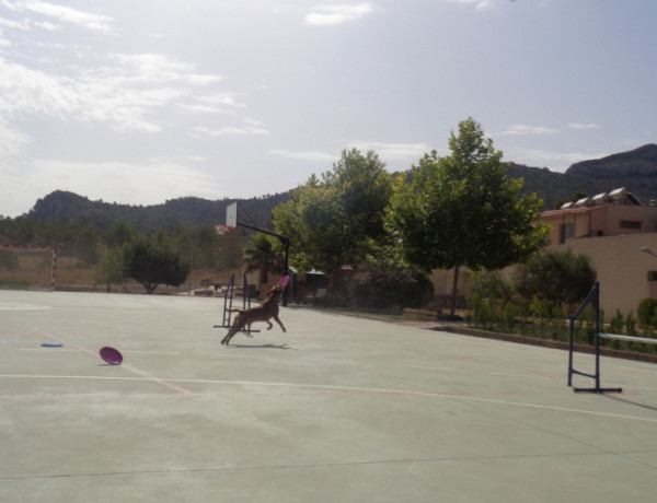 Talleres de adiestramiento canino con menores de 'La Villa'. Fundación Diagrama.