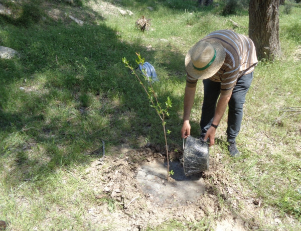 Personas atendidas en el Centro para la Atención de la Enfermedad Mental ‘Altavida’ de Abanilla colaboran en la plantación de cerca de 100 árboles en el cauce del río Segura