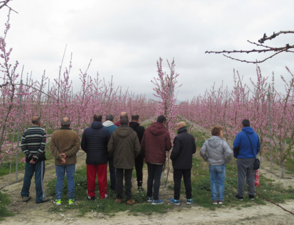 Personas atendidas en el Centro para la Atención de la Enfermedad Mental ‘Altavida’ de Abanilla realizan una ruta con motivo de la floración de Cieza. Fundación Diagrama. Murcia 2020. 