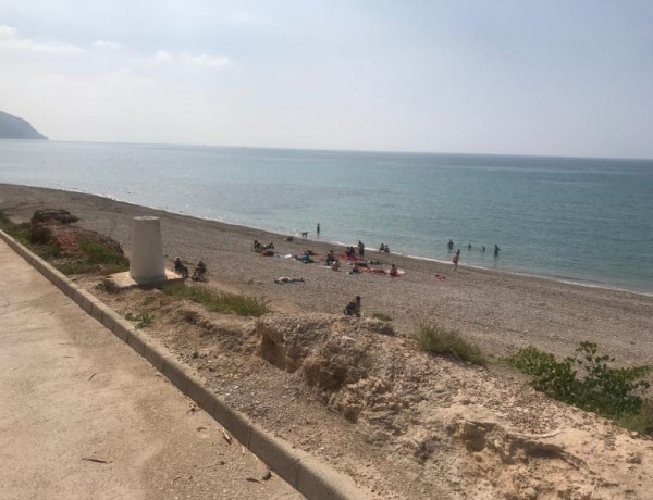 Las personas atendidas en los centros sociosanitarios ‘Cristo de los Mineros’, ‘Altavida’ y ‘Abanilla’ de Murcia participan en una convivencia en Isla Plana. Fundación Diagrama. Murcia 2019.